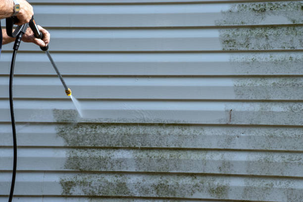 Affordable Siding Repair and Maintenance Services in Castroville, CA